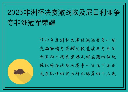 2025非洲杯决赛激战埃及尼日利亚争夺非洲冠军荣耀